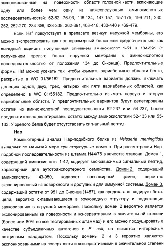 Нейссериальные вакцинные композиции, содержащие комбинацию антигенов (патент 2317106)