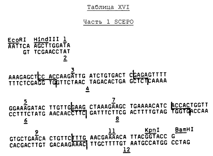 Выделенная молекула днк, кодирующая эритропоэтин человека, (варианты), экспрессирующий плазмидный или вирусный днк-вектор, гликопротеид эритропоэтин (варианты) и способ его получения, фармацевтическая композиция (варианты), линия клеток млекопитающего (варианты) (патент 2261276)