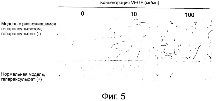 Ингибитор гепараназной активности (патент 2503454)