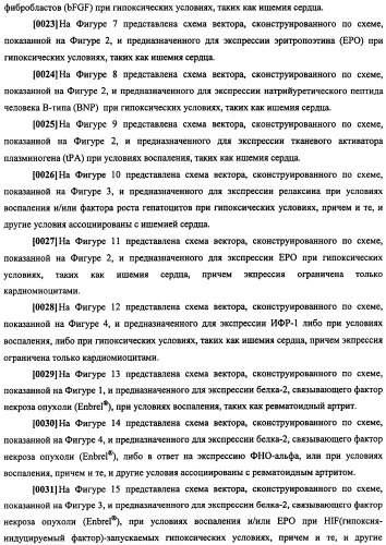 Конструкции терапевтического переключения генов и биореакторы для экспрессии биотерапевтических молекул и их применение (патент 2499599)