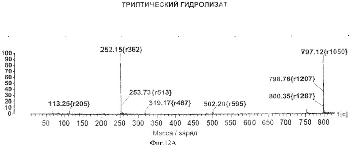 Ингибиторы протеазы вируса гепатита с и их применение (патент 2515318)