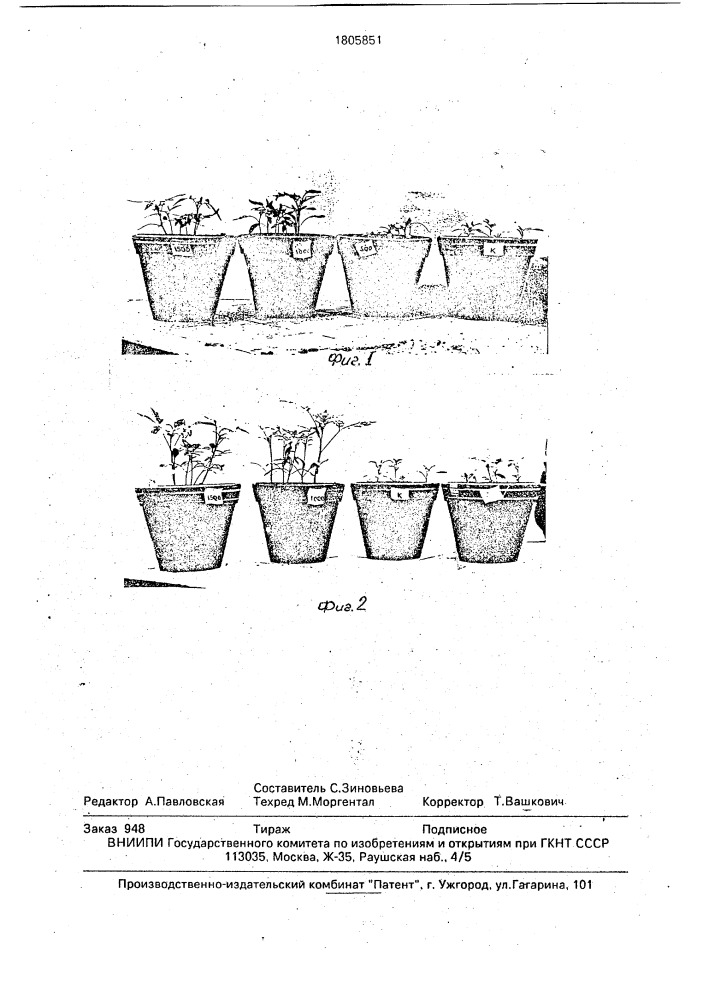 Средство защиты растений от галловых нематод (патент 1805851)