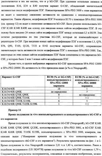 Конъюгаты g-csf (патент 2307126)