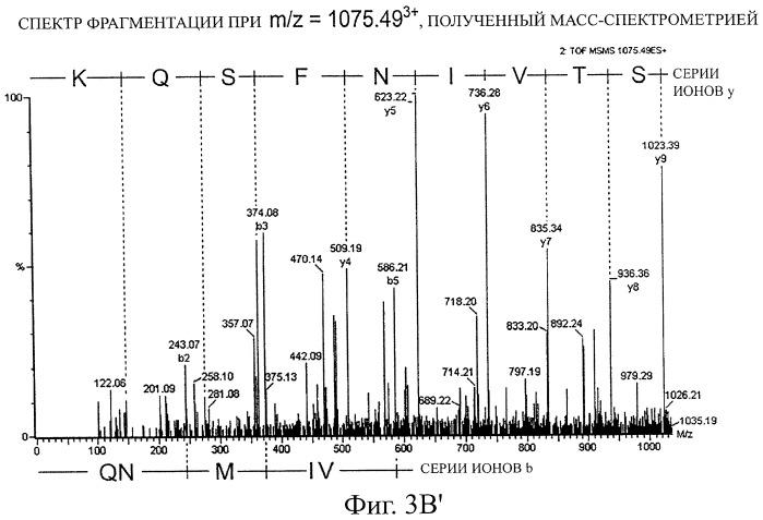 Лекарственное средство от отравлений (патент 2465893)