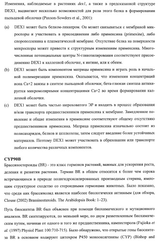 Растения, имеющие улучшенные характеристики роста, и способы их получения (патент 2463352)