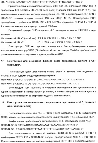 Способ идентификации соединений, взаимодействующих с трансмембранными белками (патент 2326166)