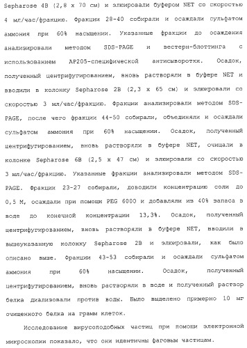 Композиции, содержащие cpg-олигонуклеотиды и вирусоподобные частицы, для применения в качестве адъювантов (патент 2322257)