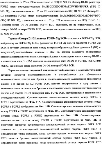 Мутеины кислотной зоны внеклеточного домена рецептора фактора роста фибробластов (патент 2509774)