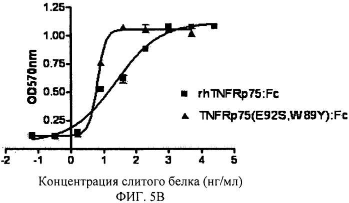 Растворимый мутант рецептора фактора некроза опухоли (патент 2478645)