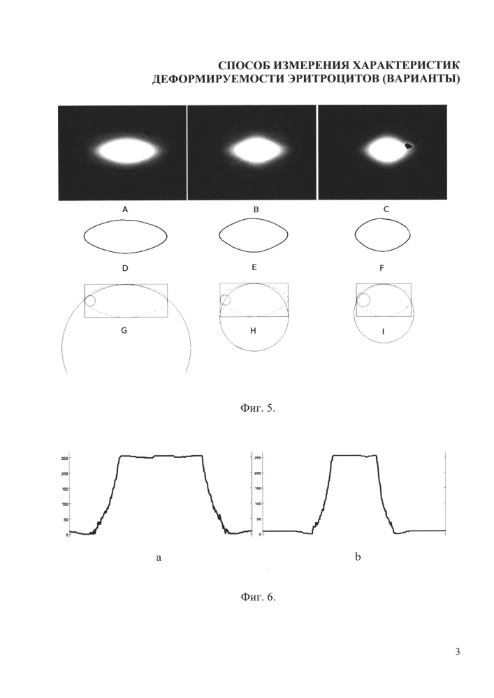 Способ измерения характеристик деформируемости эритроцитов (варианты) (патент 2629594)