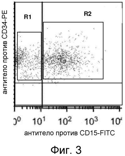 Способы получения гибридных/химерных клеток и их применение (патент 2536978)