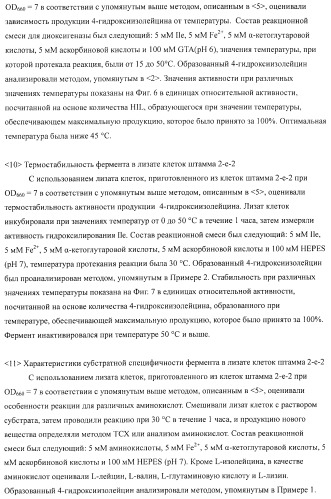 Способ продукции 4-гидрокси-l-изолейцина (патент 2402608)