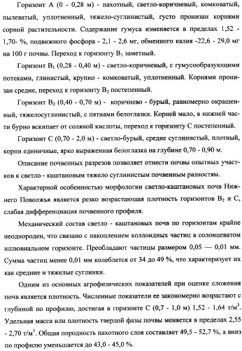 Фиторемедиационный способ очистки почв от тяжелых металлов (патент 2359444)