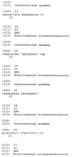 Трансгенные копытные животные, имеющие пониженную активность прионного белка, и их применения (патент 2384059)