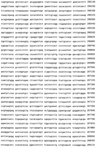 Применение s1p (патент 2362565)