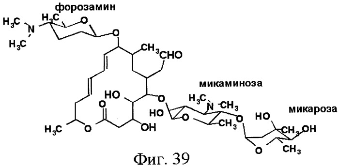 Полинуклеотид, кодирующий ацилтрансферазу, отвечающую за модификацию платенолида в положении 3 (варианты), полипептид, представляющий собой ацилтрансферазу, отвечающую за модификацию платенолида в положении 3 (варианты), бактериальный экспрессионный вектор (варианты), бактериальная экспрессионная система, бактериальная клетка-хозяин, способ продуцирования полипептида, штамм streptomyces ambofaciens, применение полинуклеотида (варианты), клетка бактерии streptomyces ambofaciens, клетка-хозяин streptomyces ambofaciens и способ получения полипептида (патент 2377304)