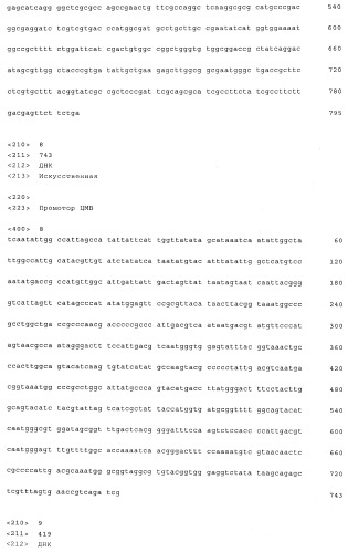 Вектор экспрессии млекопитающих (патент 2494147)