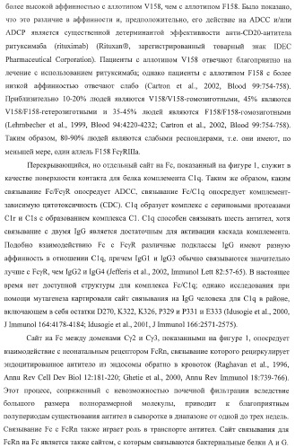 Антитело, содержащее fc-вариантную часть (варианты), фармацевтическая композиция, содержащая антитело, и способ лечения млекопитающего (патент 2390527)