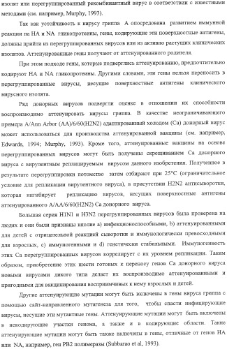 Выделенный рекомбинантный вирус гриппа и способы его получения (патент 2351651)