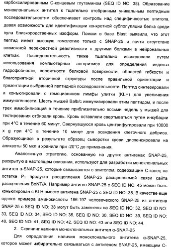 Иммунологические анализы активности ботулинического токсина серотипа а (патент 2491293)