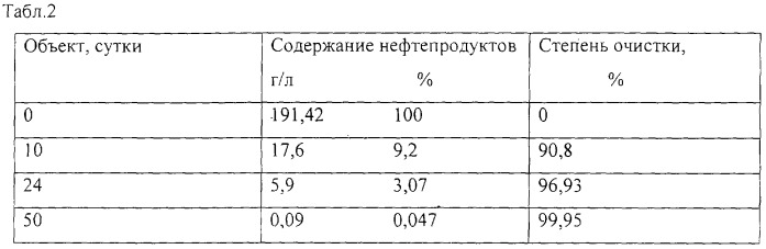 Биопрепарат для очистки почвы от нефти и нефтепродуктов (патент 2299101)