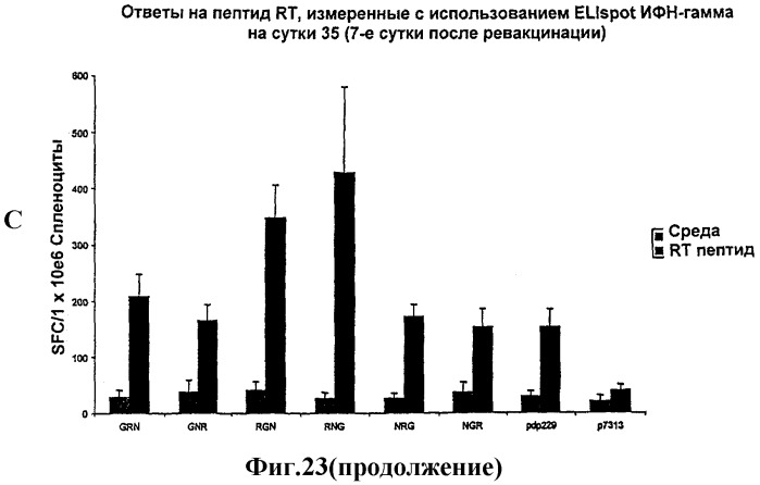 Последовательность нуклеиновой кислоты, кодирующая белок gag вич-1, способ получения указанной последовательности, вектор, содержащий ее, белок, кодируемый ею, фармацевтическая композиция и их применение для профилактики и/или лечения вич-инфекции и спида (патент 2312896)