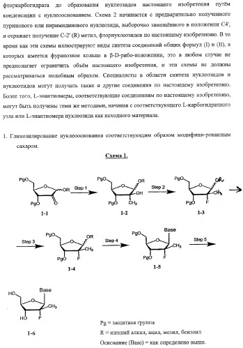 Модифицированные фторированные аналоги нуклеозида (патент 2358979)