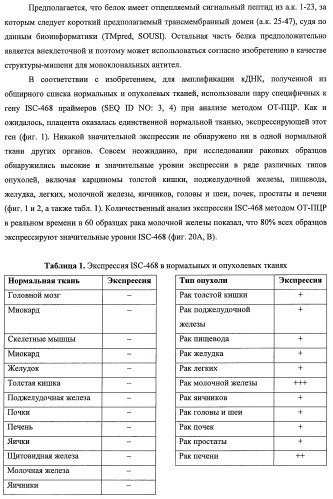 Идентификация опухолевых антигенов для диагностики и терапии (патент 2485974)