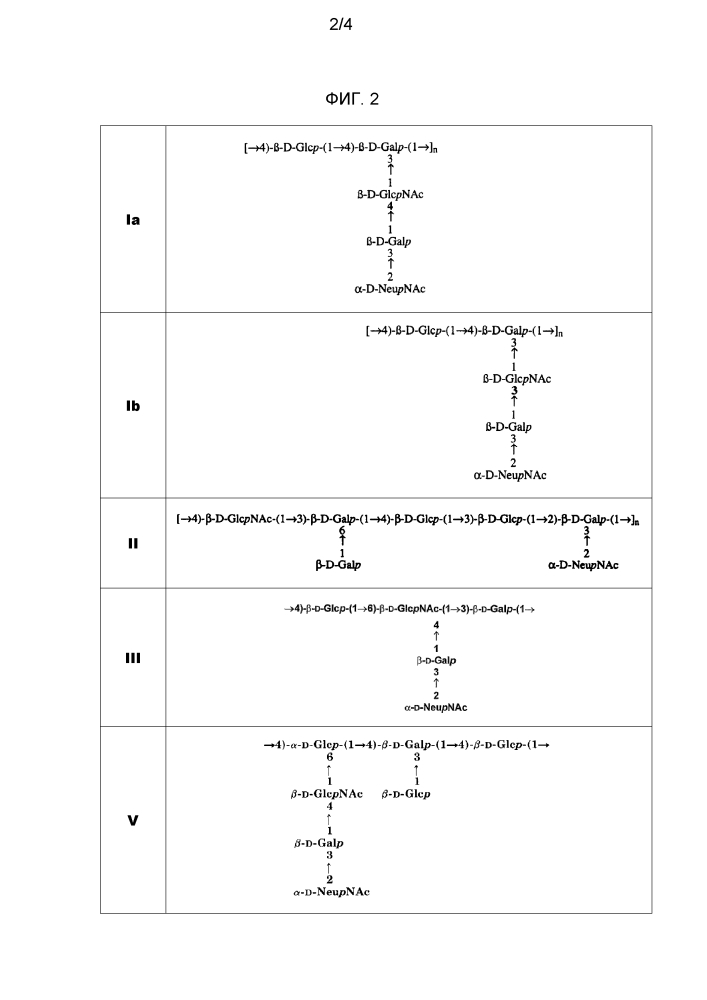 Иммуногенные композиции (патент 2608905)