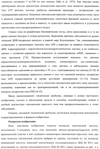 Идентификация варианта днк, связанного с гиполактазией взрослого типа (патент 2391404)