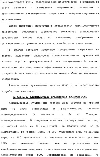 Поликлональное антитело против nogo, фармацевтическая композиция и применение антитела для изготовления лекарственного средства (патент 2432364)