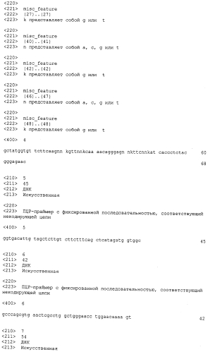 Мутеины липокалина 2 человека (lcn2, hngal) с аффинностью для определенной мишени (патент 2564125)