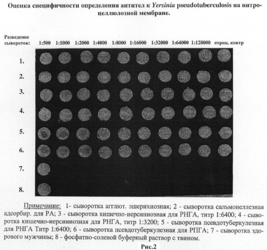 Безынструментальный способ диагностики псевдотуберкулеза (патент 2464573)