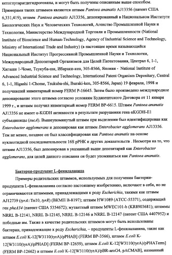 Способ получения l-треонина с использованием бактерии, принадлежащей к роду escherichia, в которой инактивирован кластер генов sfmacdfh-fimz или ген fimz (патент 2333953)