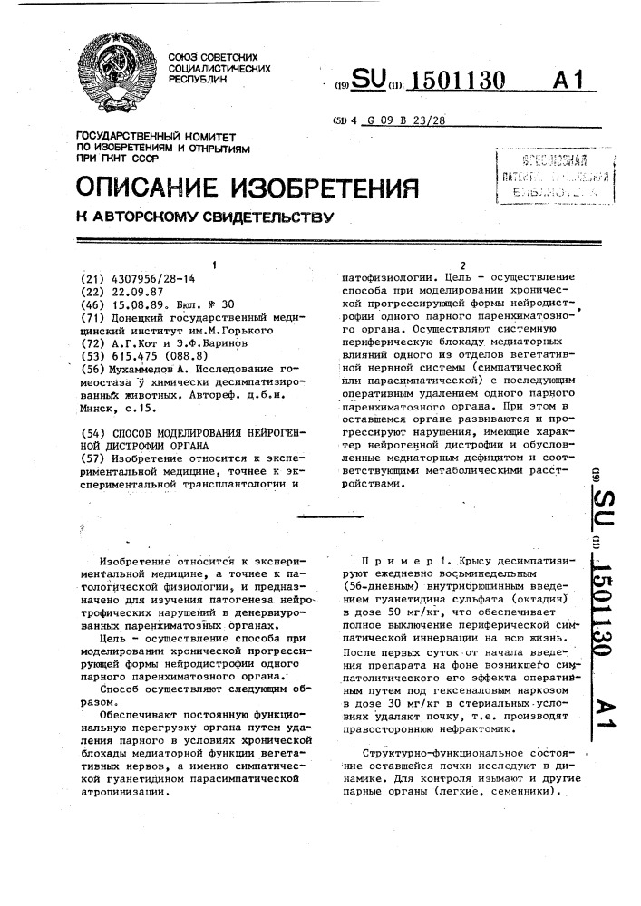 Способ моделирования нейрогенной дистрофии органа (патент 1501130)