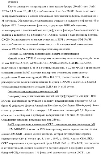 Вирусоподобные частицы, включающие гибридный белок белка оболочки бактериофага ар205 и антигенного полипептида (патент 2409667)