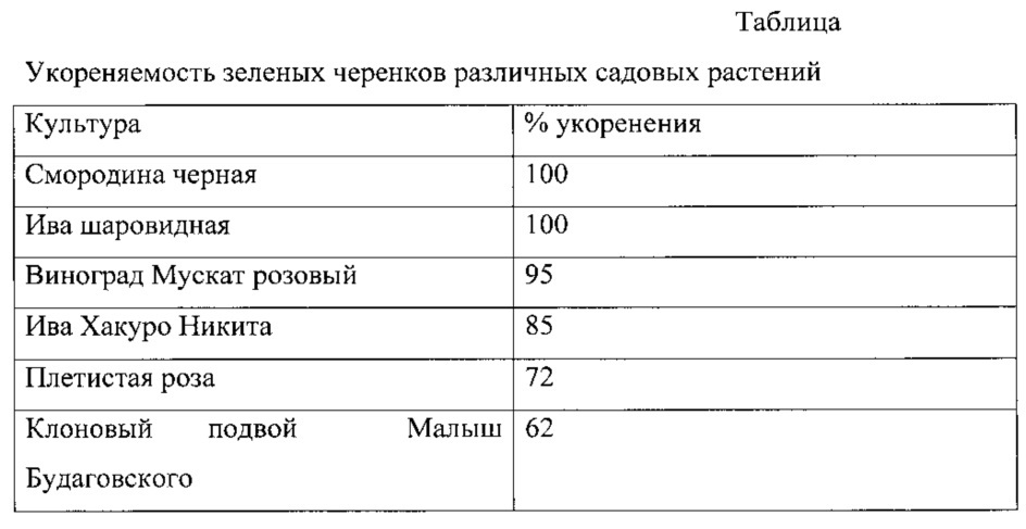 Способ размножения садовых растений зелеными черенками (патент 2647272)