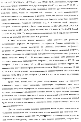 Способ получения фактора, связанного с контролем над потреблением пищи и/или массой тела, полипептид, обладающий активностью подавления потребления пищи и/или прибавления в весе, молекула нуклеиновой кислоты, кодирующая полипептид, способы и применение полипептида (патент 2418002)