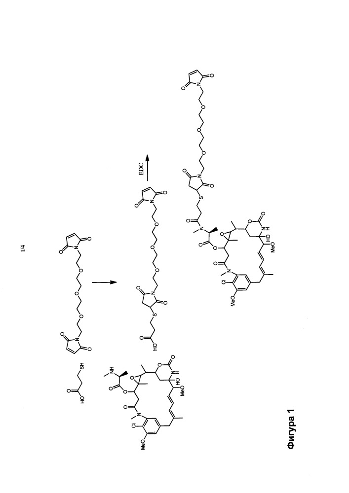 Улучшенные способы ацилирования майтанзинола (патент 2648992)