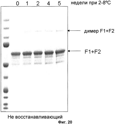 Модифицированные f протеины sv и способы их применения (патент 2531510)