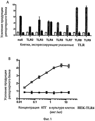 Композиция для усиления экспрессии трансгена в эукариотических клетках и способ увеличения продукции целевого белка, кодируемого трансгеном (патент 2546249)