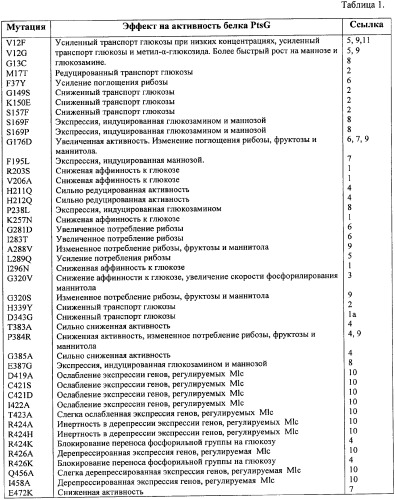 Мутантная iib/iic субъединица глюкозоспецифической пермеазы системы pts, фрагмент днк, бактерия, принадлежащая к роду escherichia, - продуцент l-треонина и способ получения l-треонина (патент 2335536)