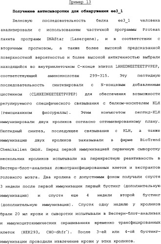 Ее3-семейство белков и соответствующие днк-последовательности (патент 2333918)