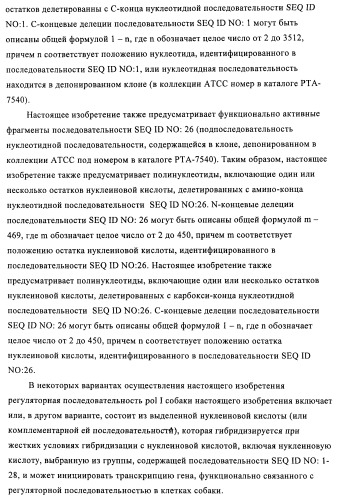 Способы и композиции для экспрессии антисмысловой вирусной рнк в клетках собаки (патент 2457250)