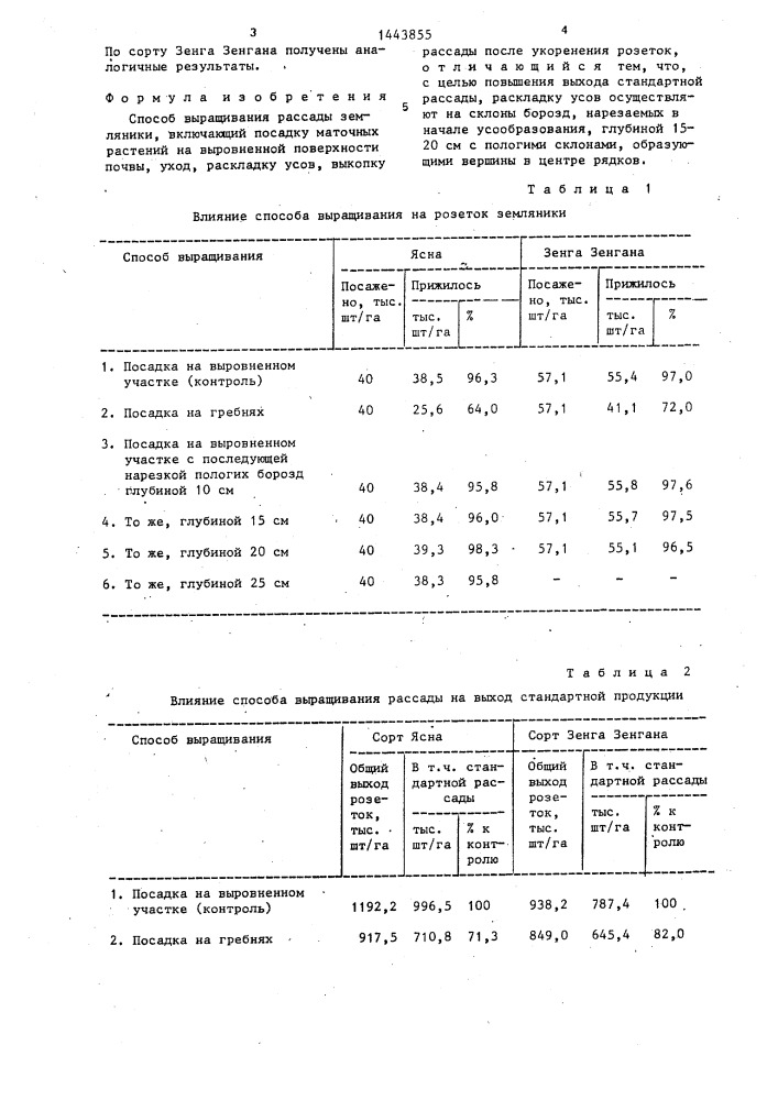 Способ выращивания рассады земляники (патент 1443855)