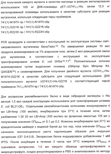 Домены и эпитопы менингококкового белка nmb1870 (патент 2375374)