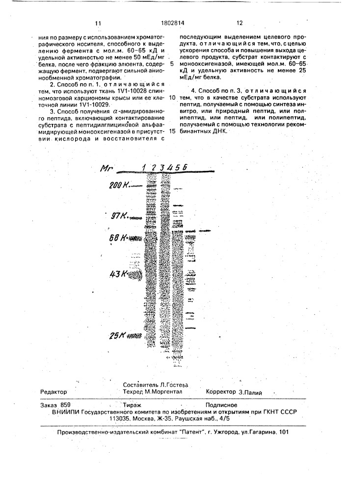 Способ очистки пептидилглициновой @ -амидирующей монооксигеназы и способ получения @ -амидированного пептида (патент 1802814)