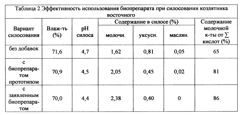 Способ получения биопрепарата для кормопроизводства (патент 2652814)