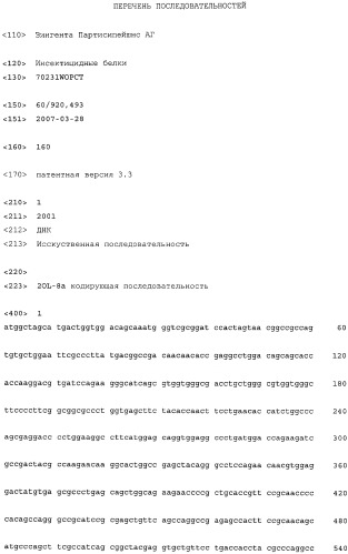 Гибридный инсектицидный белок, молекула нуклеиновой кислоты, кодирующая такой белок, трансгенные растения и их семена, содержащие такой белок, способ получения белка и его применение (патент 2497830)