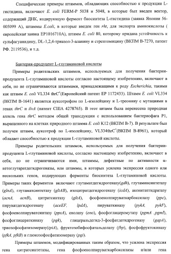 Способ получения l-треонина с использованием бактерии, принадлежащей к роду escherichia, в которой инактивирован ген ygid (патент 2396349)